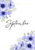 FREE-Printable Download-Monthly Binder Dividers-Lush Powder Blue Floral
